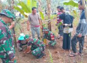 Tingkatkan Kesadaran masyarakat, Kodim 1615/Lotim Melalui TMMD Ke 121, Tanam Pohon Untuk Menjaga Kelestarian Lingkungan