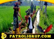 TMMD Ke-121 Kodim 1615/Lotim, Talud Irigasi Baru untuk Tingkatkan Produktivitas Pertanian Masyarakat Desa.