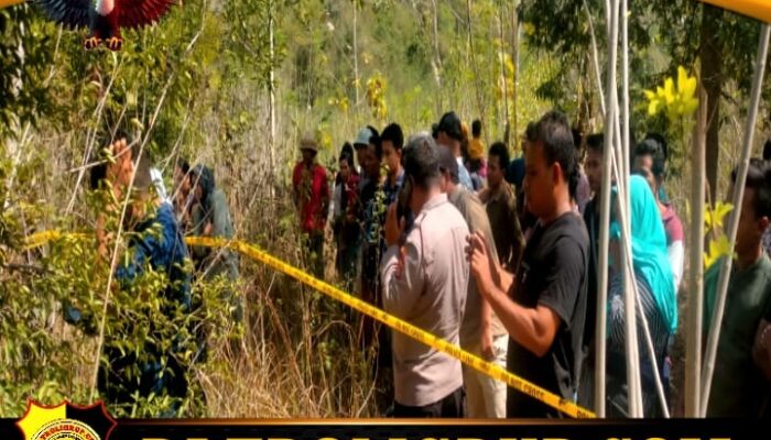 Penemuan Mayat Bayi di Lahan Kosong, Polres Lombok Tengah Gercep Olah TKP.