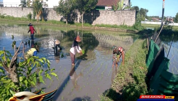 Babinsa 1615-09/Sikur Lakukan WALPING Sekaligus Berikan Motivasi Kepada Kelompok Tani Sekuntum 1.