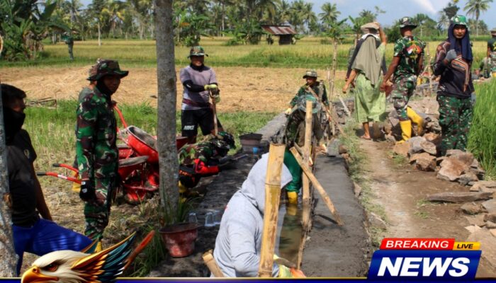 Pembuatan Talud Irigasi di TMMD ke-121, Personel Kodim 1615/Lotim Kompak Bergotong Royong.