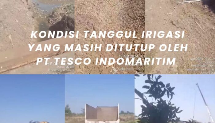 Kondisi Lahan Warga Terisolir Makin Parah Dimana Ketegasan DPMPTSP, dan Camat Setelah Memanggil Pihak PT Tesco Indomaritim, Aktivitas terus Berjalan?