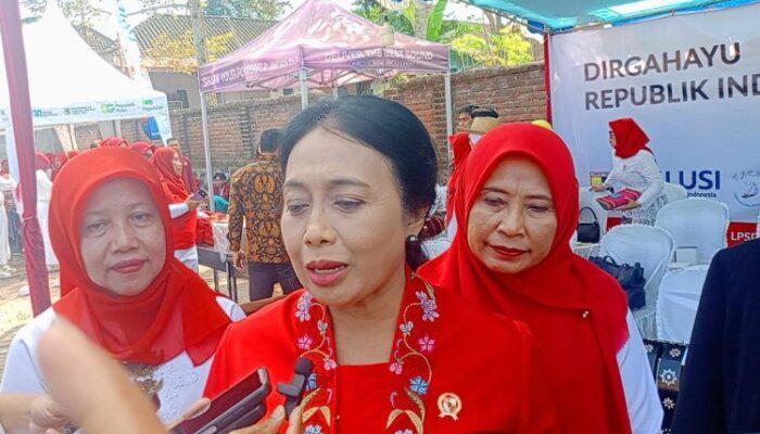 Kementerian PPPA RI : Program TMMD Ke-121 TA.2024 Sangat Membantu Masyarakat Desa