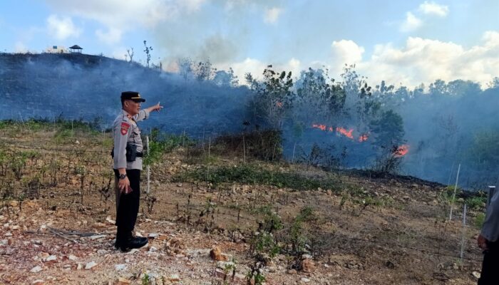 Polres Loteng Bersama Dinas Damkar Berhasil Padamkan Karhutla di Kecamatan Pujut.