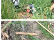 Misteri Kematian Petani di Sawah: Polisi Himbau Masyarakat Tetap Tenang