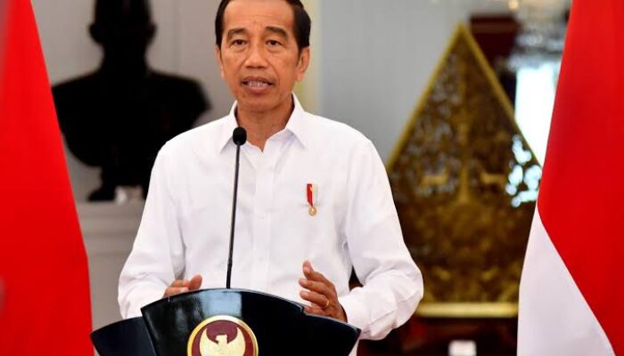 Presiden Jokowi Bawa Indonesia ke Era Keemasan Ekonomi: Capaian Gemilang di tengah Ketidakpastian Global