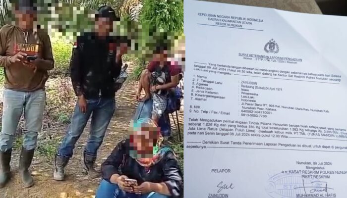 Diduga Kuat Pencurian Buah Kelapa Sawit di PT Sri Menggaris, Ada Kongkalikong Oknum Media dan Oknum RT di Kabupaten Nunukan