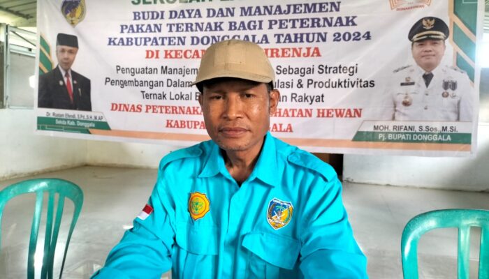 Sekolah Lapang Budi Daya Ternak Bagi Peternak Desa Dampal, Kecamatan Sirenja Kabupaten Donggala Tahun 2024 Berjalan Aman Dan Lancar.