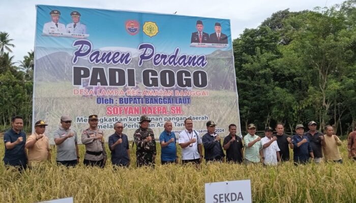 Danramil 1308-08/Banggai Bersama Forkopimda Hadiri Panen Perdana Padi Gogo