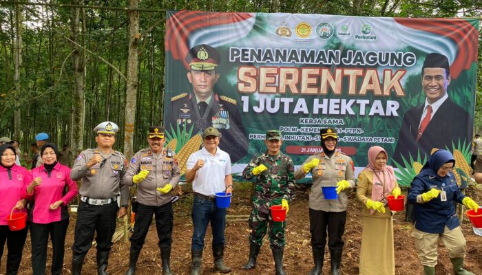 Dukung Asta Cita Presiden, Polres Salatiga Tanam Jagung Dilahan Seluas 1.000 Meter