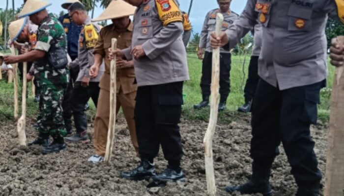 Bhabinkamtibmas Polsek palu selatan Aktif Dukung Program Ketahanan Pangan Nasional